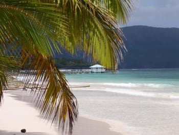 Samana Las Galeras